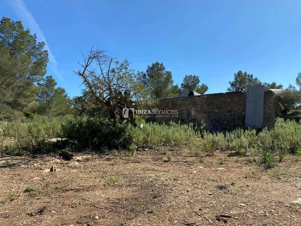 For sale finca to renovate with license on a plot of 537,000 sqm