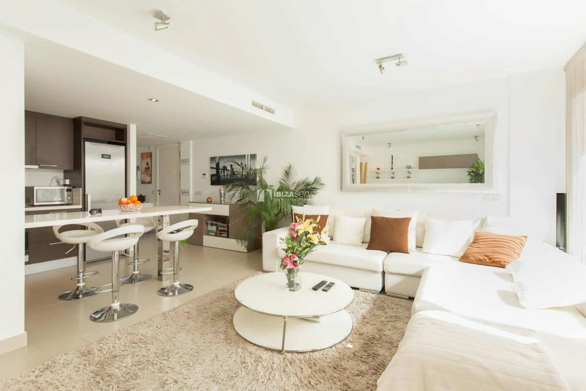 3 bedroom penthouse seasonal rental Talamanca with jacuzzi