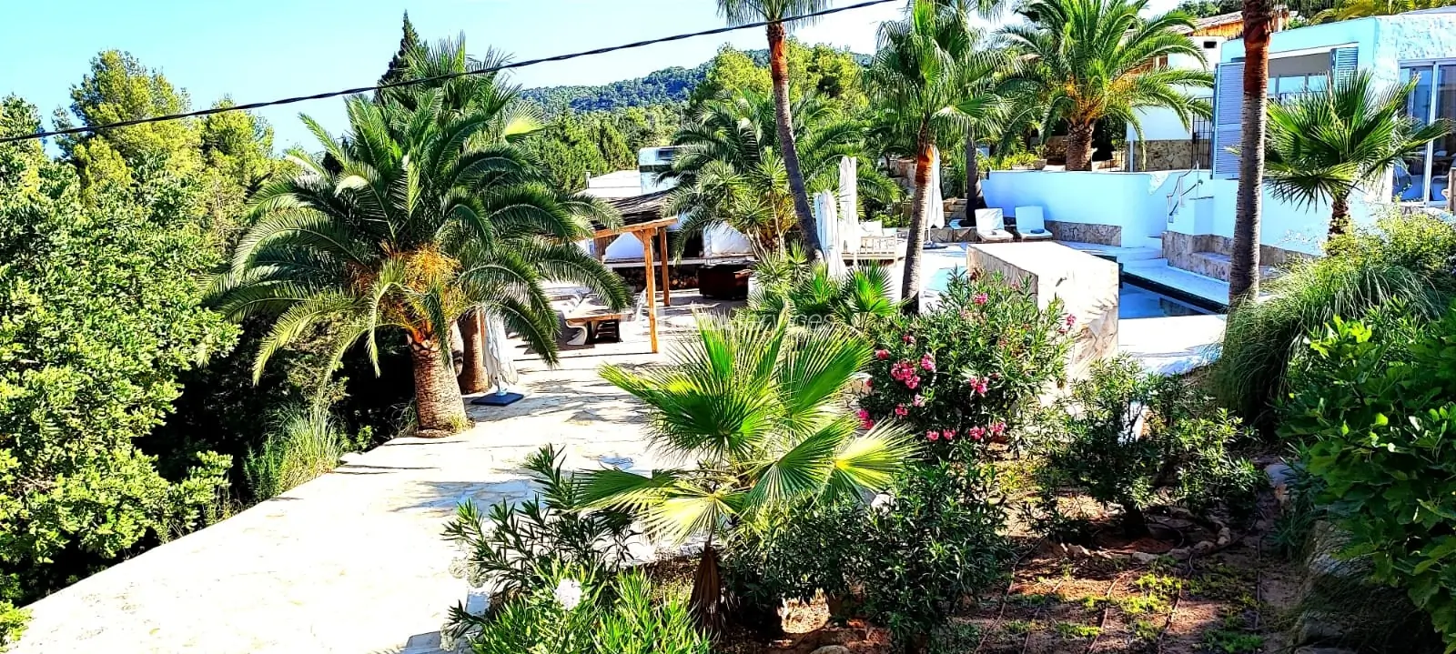 Finca reformada con licencia turistica y jardin tropical cerca de Cala Tarida para comprar