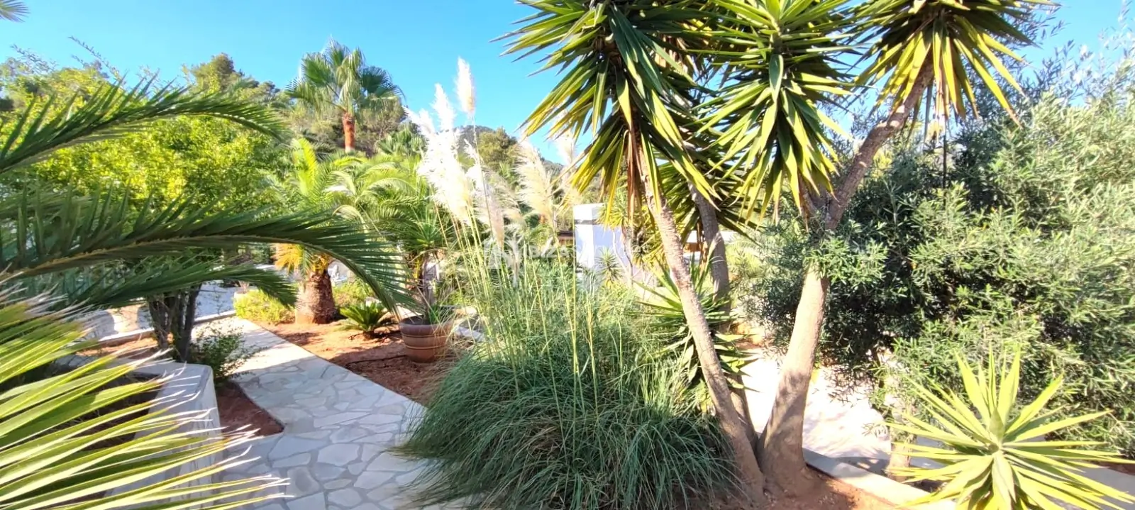 Finca reformada con licencia turistica y jardin tropical cerca de Cala Tarida para comprar