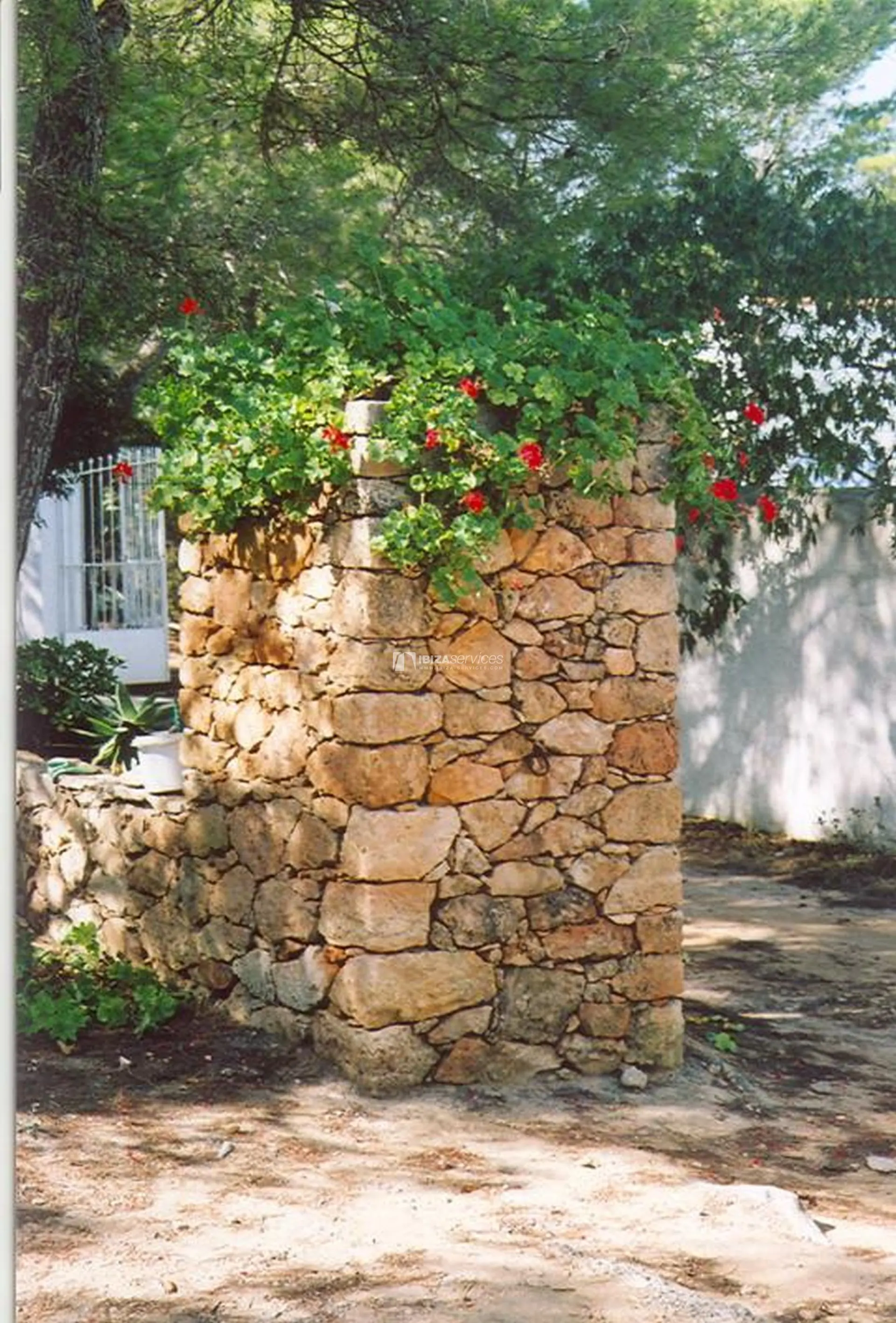 Villa de 4 chambres à louer à Formentera